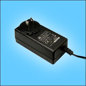 24W Power Adapter